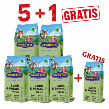 WINNER PLUS HOLISTIC "NEW" Lamb 100% & Potato 5 x 12 kg Sparpaket + 12kg Gratis
