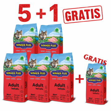 WINNER PLUS HOLISTIC "NEW" Adult 5 x 12 kg Sparpaket + 12kg Gratis