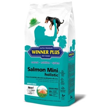 WINNER PLUS HOLISTIC Salmon Mini