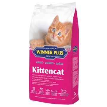 WINNER PLUS SUPER PREMIUM Kittencat NEU