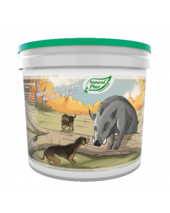 Natural Plus Rinderfett-Pulver  „pure, natürliche Energie“
