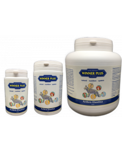 WINNER PLUS Arthro Elastina Tabs - Gelenk Fit 