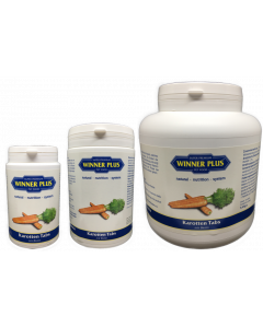 WINNER PLUS Karotten Tabs mit Biotin