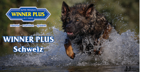 WINNER PLUS Schweiz