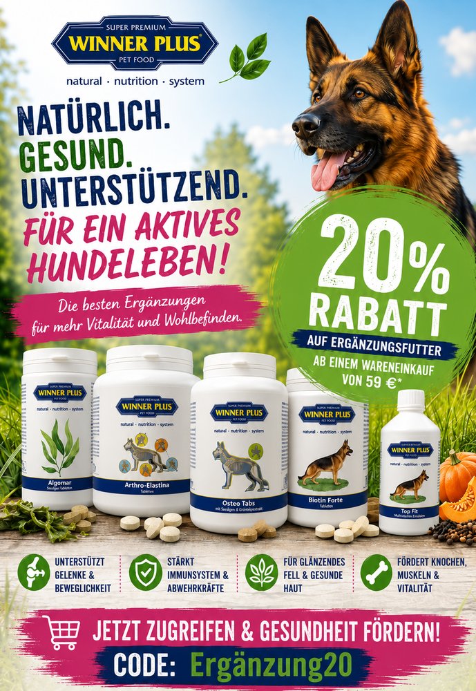 Gutschein